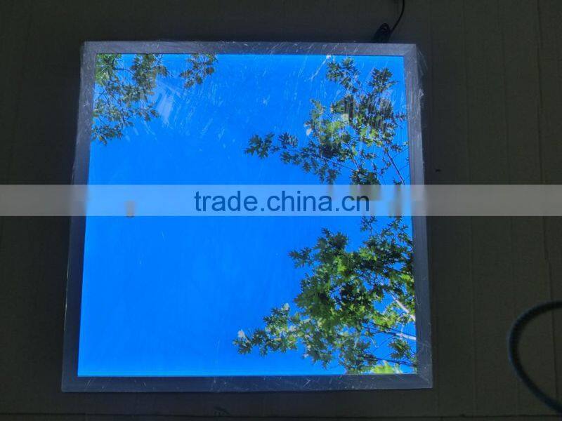 600*600mm Hospital Sky Ceil Panels
