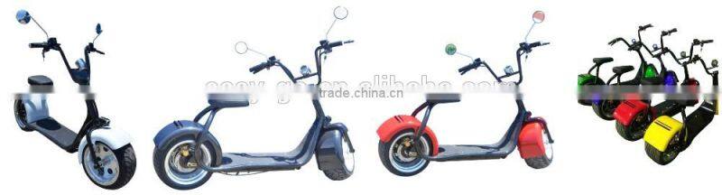 Newest design 1000w/800w City COCO gas scooter kit with CE/RoHS/FCC certificate hot on sale