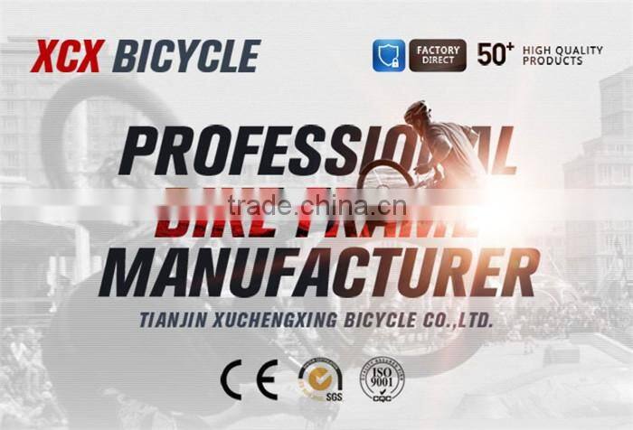 Photo Picture Chromoly 4130 Fixie Painting Bike Frame