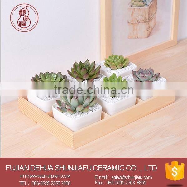 2016 New Design Minimalist Seashell Shaped White Ceramic Small Flower Pots,Succulent plants Pots