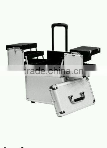 Rolling Cosmetic Train Case