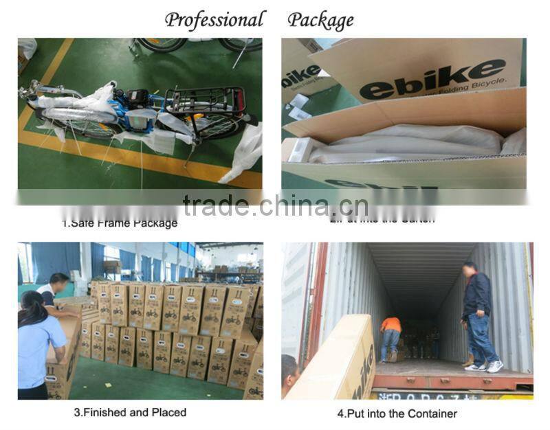 700C 36V 250W to 500W brushless motor rear battery electric cycle (CF-TDB03Z)