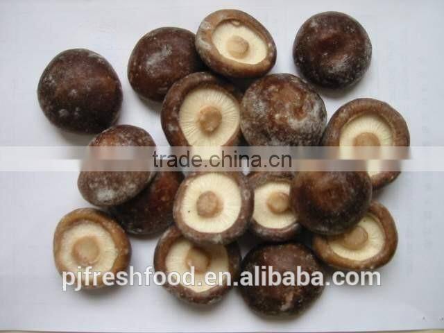 Shiitake Mushroom