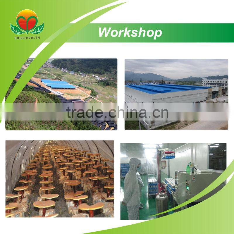 Most Popular Organic Ganodema lucidum powder