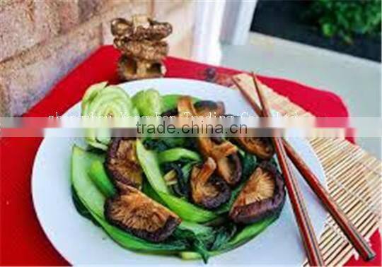 2014 hot sale health food fresh shiitake mushroom