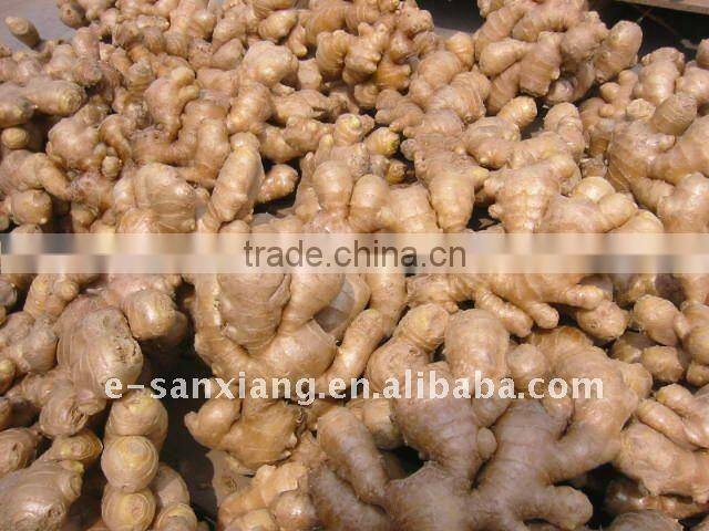 fresh dry skin ginger