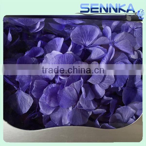 real natural purple color hydrangea preserved for flower arrangement