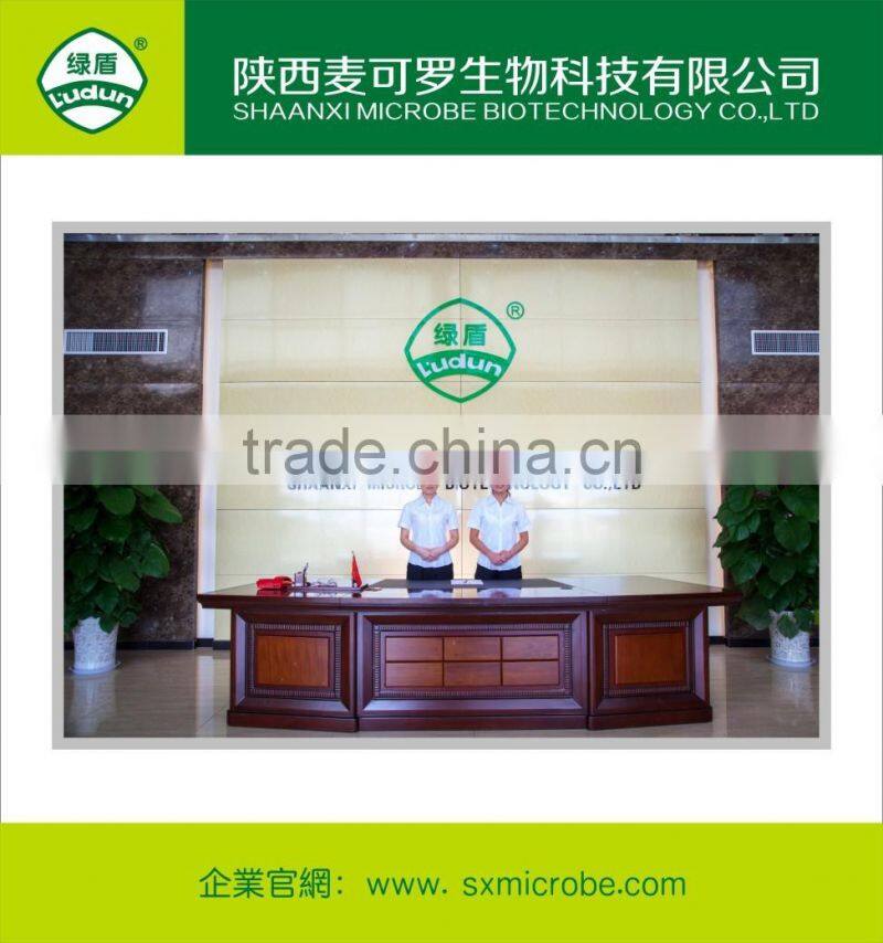 Hot pesticide/fungicide kasugamycin 4%SL