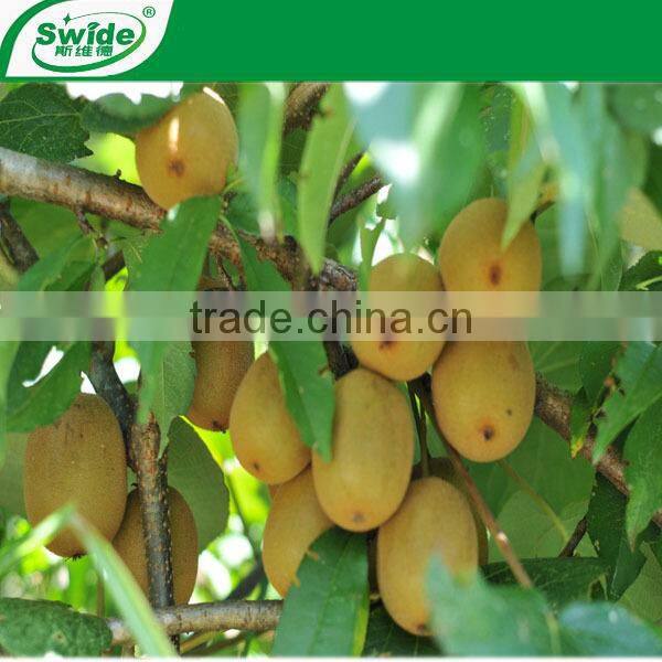 good effect Almi-180 liquid amino acid fertilizer