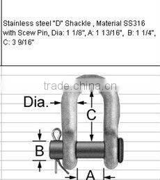 Stainless Steel Screw Pin D Shackles