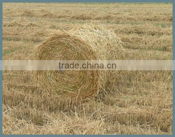 Farm Use Mobile Mini Round Hay Baler for Sale