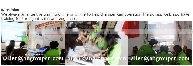 Heavy Duty Single Stage Centrifugal Vertical Submersible Sump Sand Sewage Slurry Pump