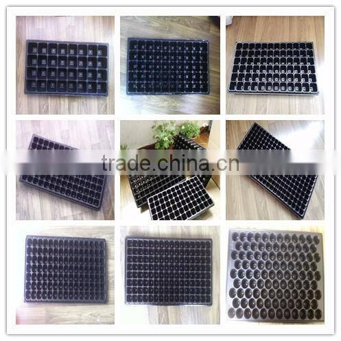 72 cell black PS plastic plant nursery plug trays wholesale cheap price