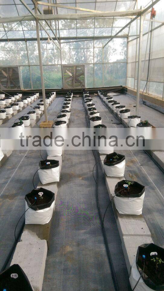 cucumber grow planter bag