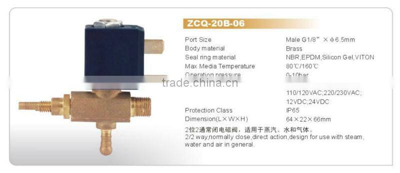 Steam /Ironing/Boiler Brass Solenoid Valve