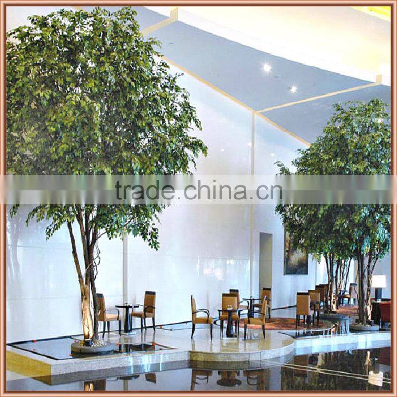 Customized real wood ficus tree