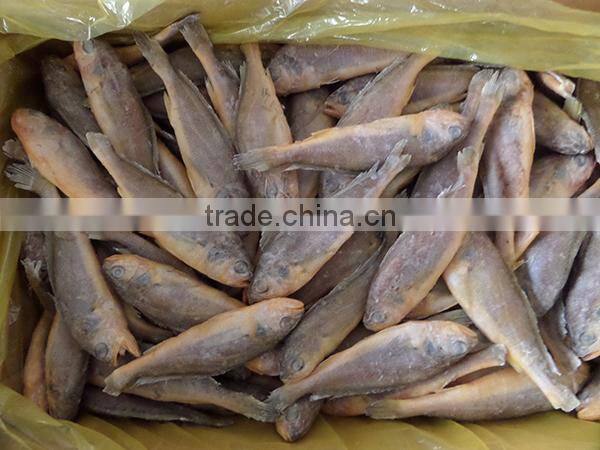 frozen wild yellow croaker IQF50-70g ,bulk in carton