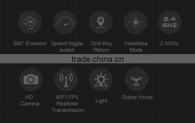 2.4G Stunt Drone