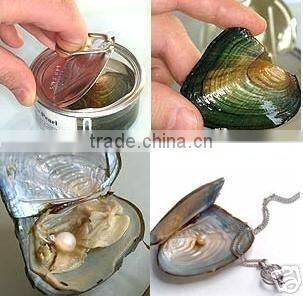 100pcs freshwater pearl gift wish pearl gift pendant necklace great christmas gift English/sea turtle