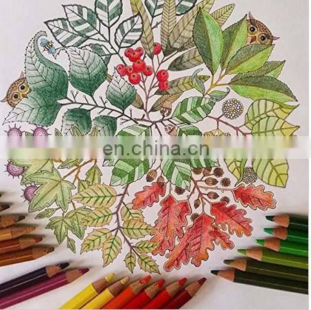 secret Garden An Inky Treasure Hunt and Coloring Book