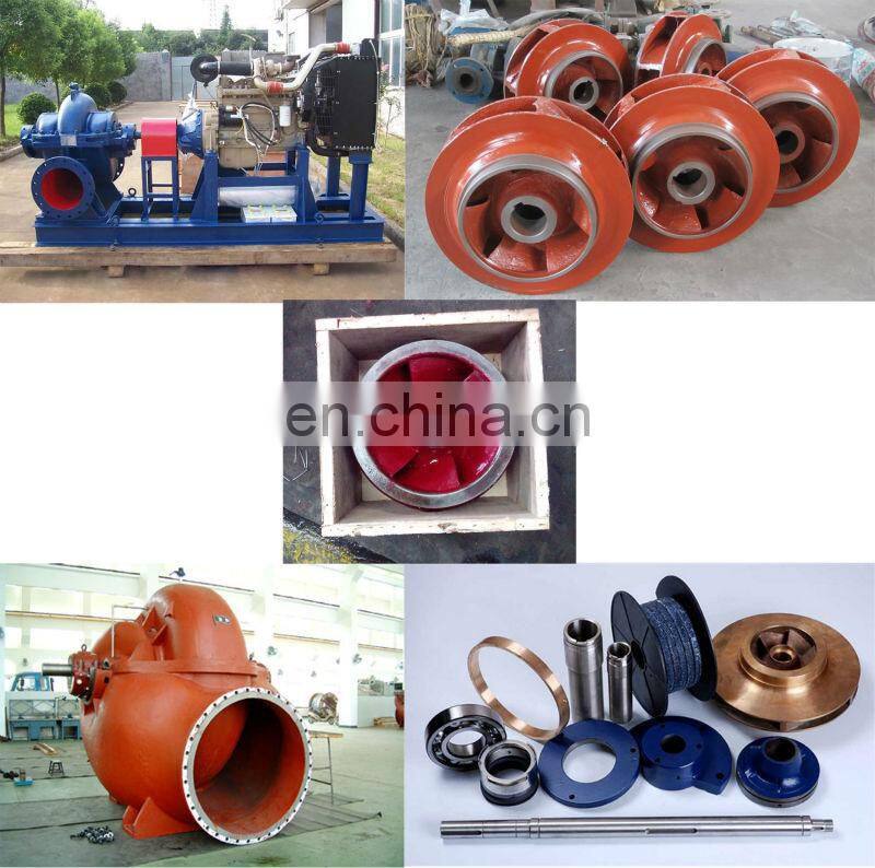 Electric centrifugal split case water pump watts