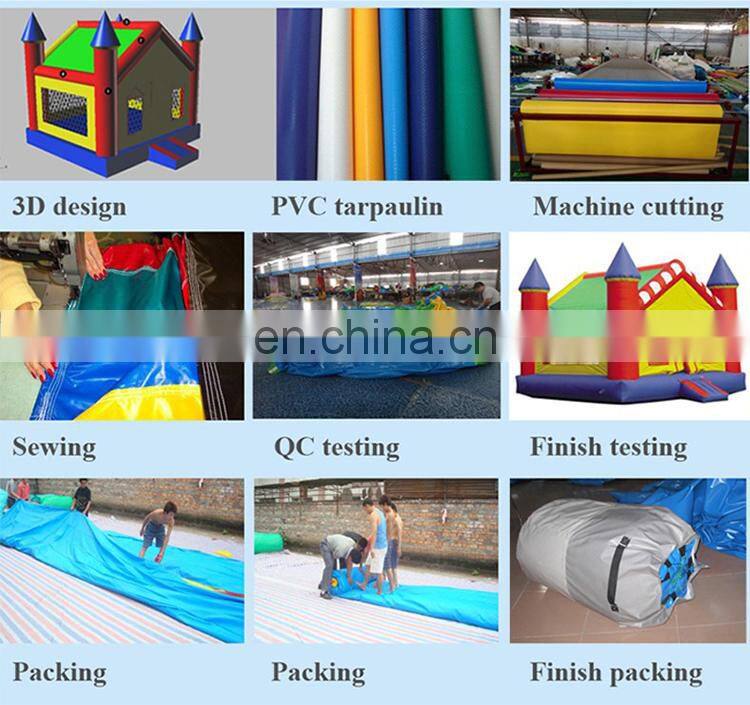 Outdoor High Quality Shark Double Lane Inflatable Slide Inflatable Mini Playground Water Slide For Sales