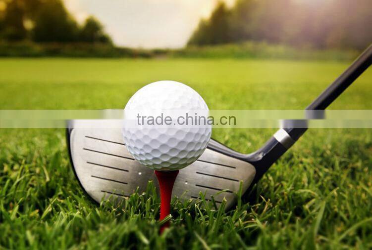 tennis ball vending machine