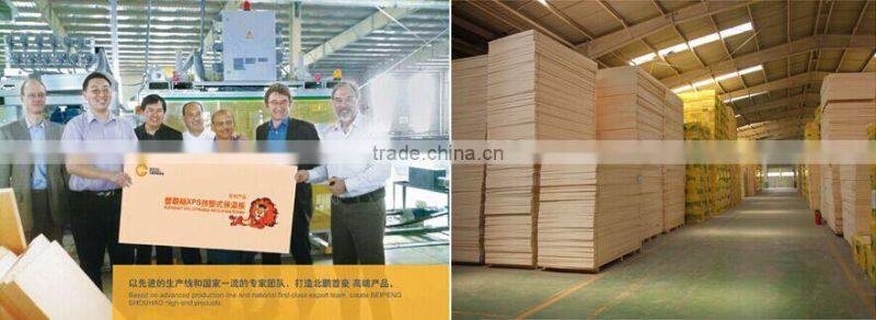 Closed Cellular XPS Insulation Foam Board