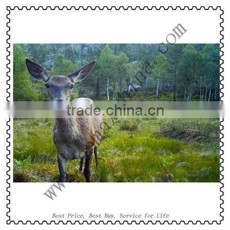 12MP MMS hunt camera with 24 count red flash infrared GSM/Email external antenna Ltl Acorn Ltl 5210MM