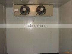 20ft/40ft cold room container