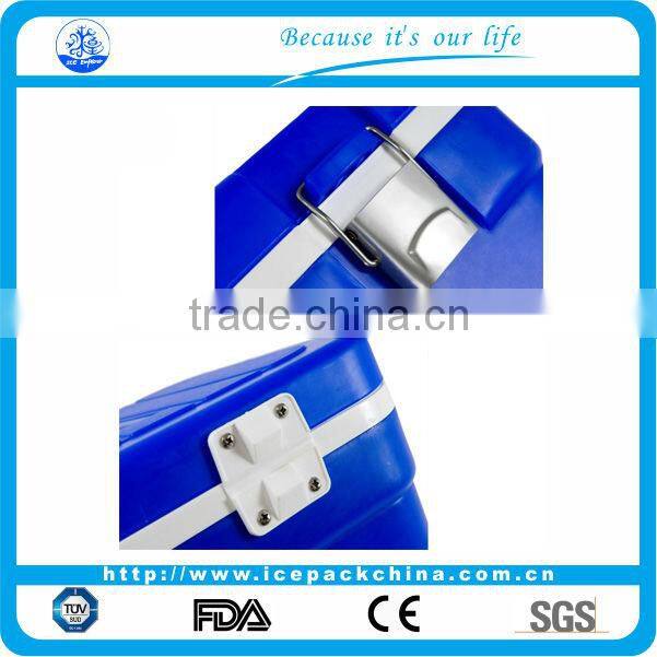 bags keeping insulin