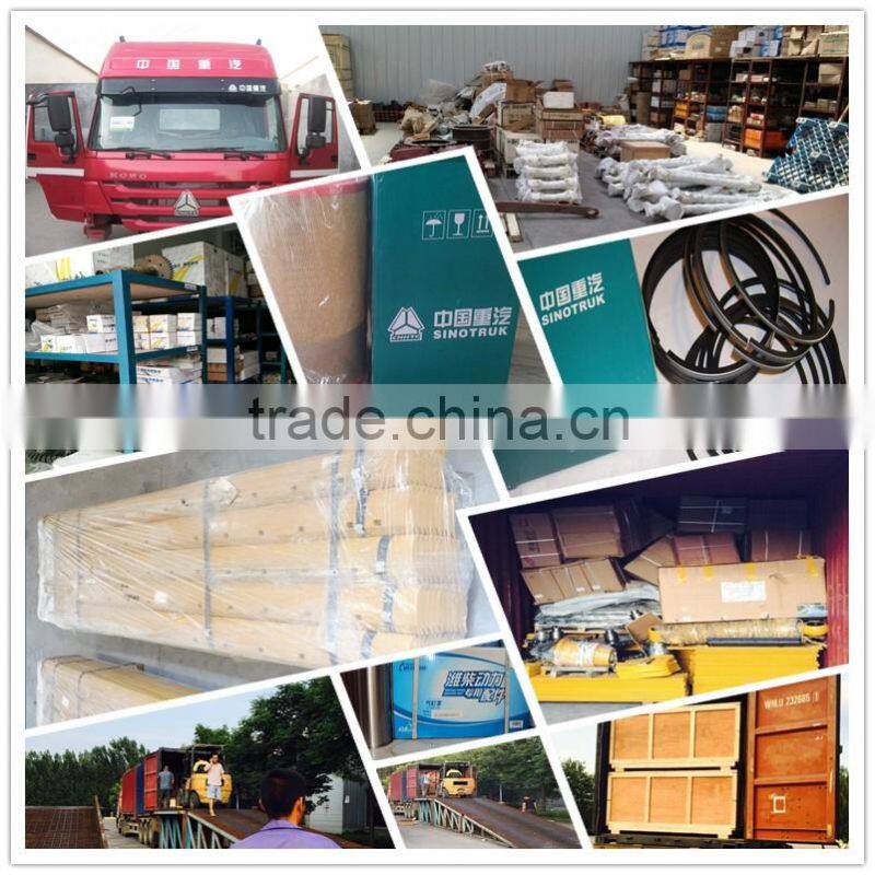 Howo Truck Spare Parts WG1642330003 Window Lifter