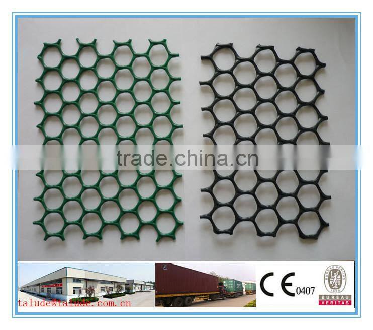 HDPE plastic net(geonet) Ce121 CE131 CE151 CE161 CE163 CE181