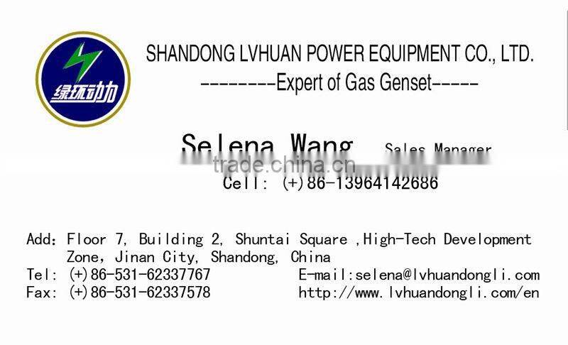 10kw biogas generator set