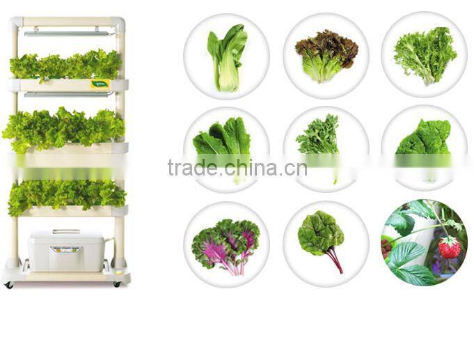 Indoor Garden_LED Hydroponic Cultivator