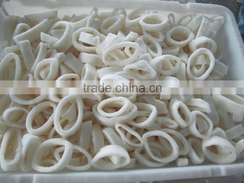 Frozen Squid With Ring ( Todarodes pacificus)