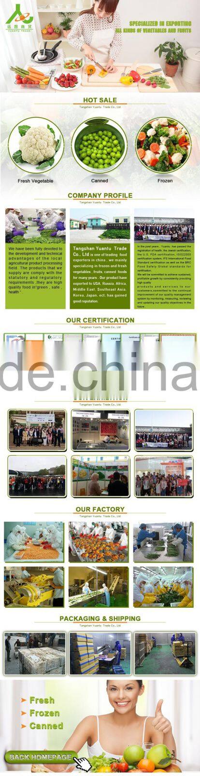 Health Food Fresh Carrot Crisp and Good Flavor fresh Carrot carrots