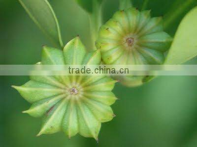 High quality Vietnam star aniseeds without stems / anise - Cheap price!