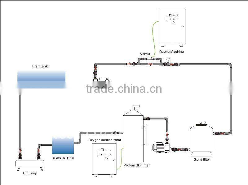 water treatment for barracuda, indoor fish farm, aquaculture ozone generator