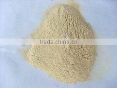 wheat gluten meal factory price