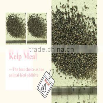 Seaweed Powder Type and Cattle,Aquatic,Horse,Chicken,Dog,Pig,Fish Use Seaweed Kelp Meal