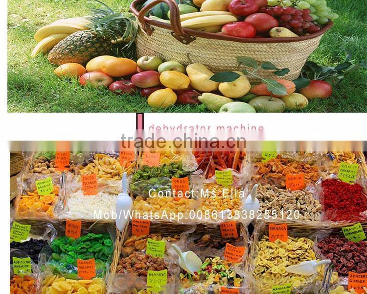 7 layer fruit dryer machine for home tea dryer