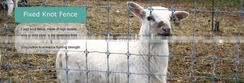 Hinge Joint Lowes Hog Wire Fencing/Fixed Knot Animal Fence/Square Deal Fencing V Mesh for Livestock