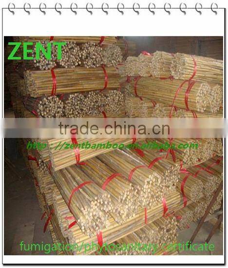 ZENT -31 bamboo pole for supporting