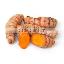 Turmeric / Curcuma longa Multiple layer continuous type mesh belt dryer