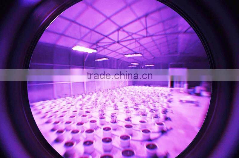 1200W LED Grow Lights Full Spectrum Kits Lamp LED Grow Light For Indoor Veg Flower Plants