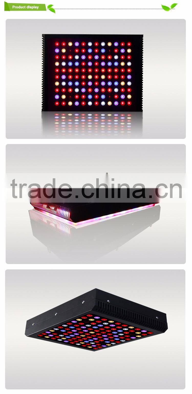 Specially designed waterproof LED grow light for vegetables and plants