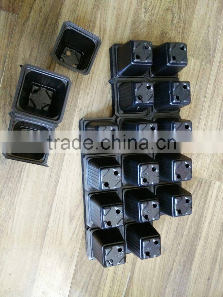 PS plastic germination and planting seed tray, can make easy to separate to one cell