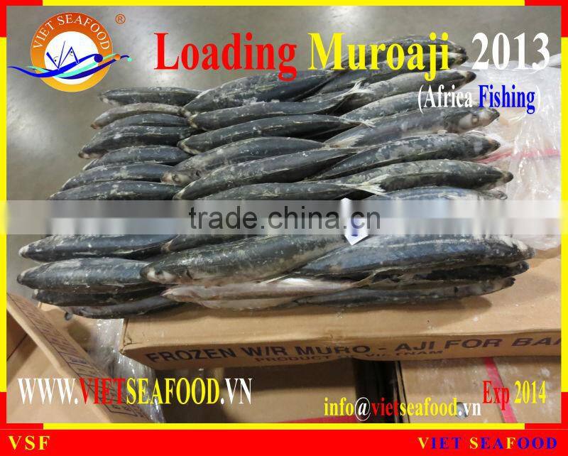 LOADING MUROAJI FOR TUNA BAIT