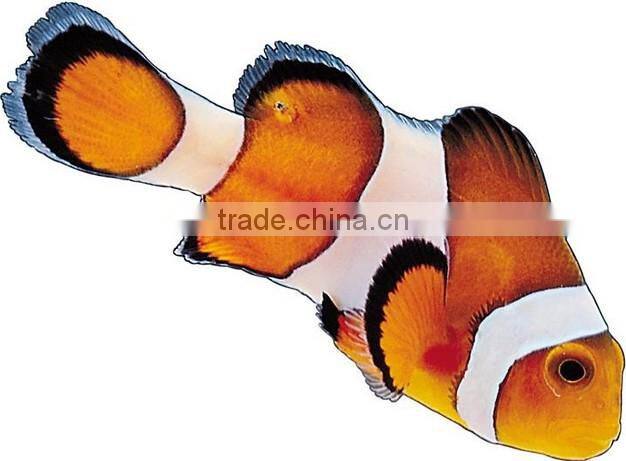 colorful swimming hat/swim hats for women/waterproof swimming hat(FDA, LFGB)